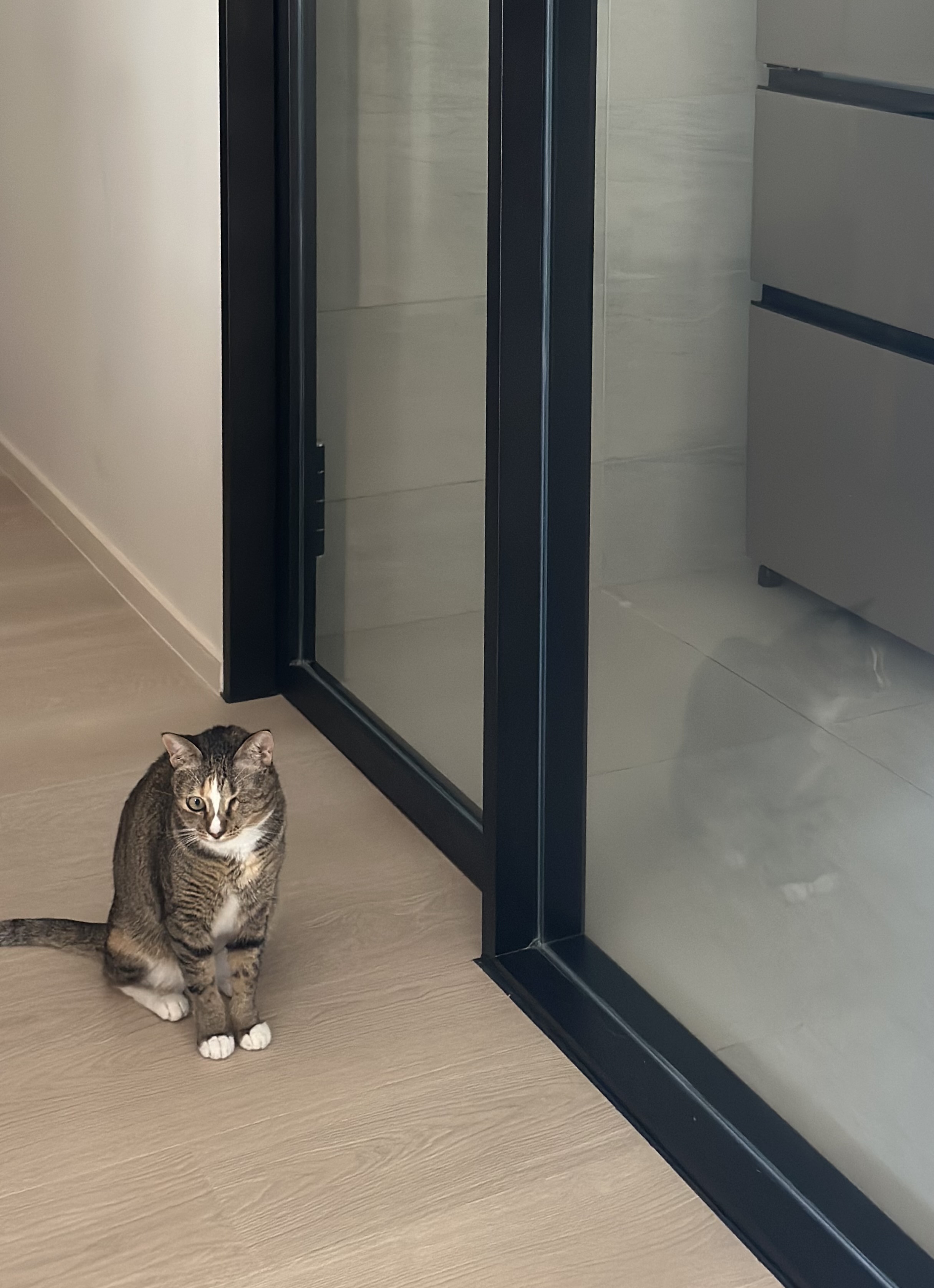 Henry Lee Design - GRAND PROMENADE APARTMENT - 4